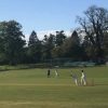 Weekend Friendlies & Other News 59706301_2782360158457146_5463762166509207552_n