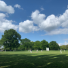 Second XI Have a Comfortable Start Shots